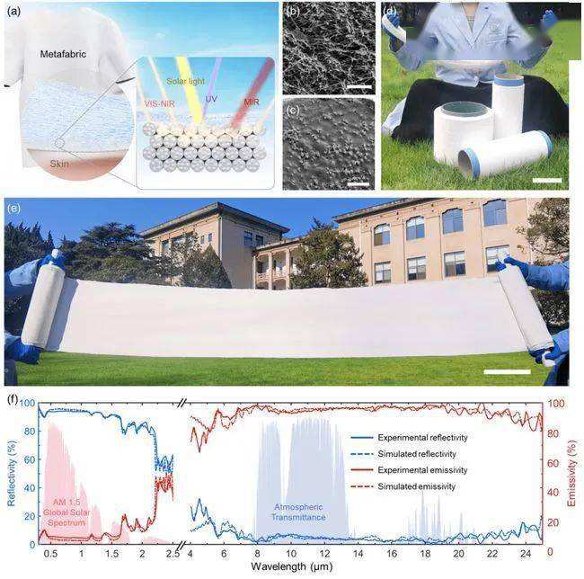 �ҹ���ѧ���з�������Դ����Ĺ�ѧ������֯��