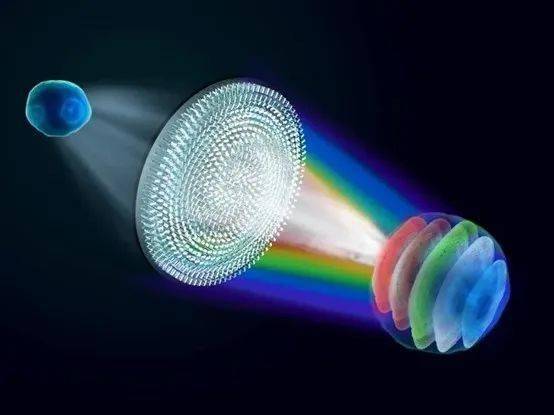 ��ѧ��ͷ��ҵ�������